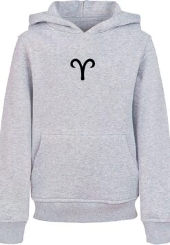 F4NT4STIC Hoodie Aries Widder Sternzeichen In Grau Meliert